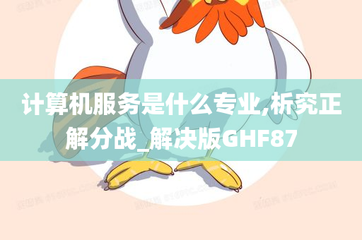 计算机服务是什么专业,析究正解分战_解决版GHF87