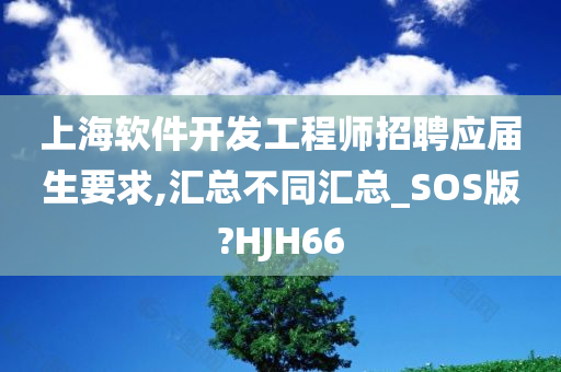 上海软件开发工程师招聘应届生要求,汇总不同汇总_SOS版?HJH66