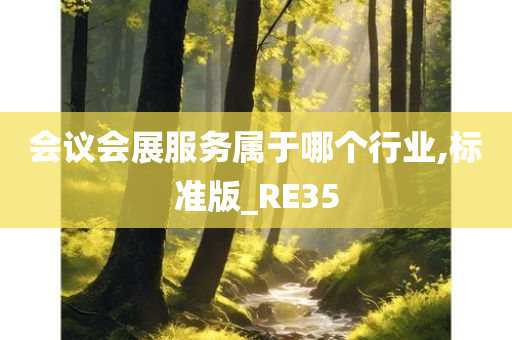 会议会展服务属于哪个行业,标准版_RE35