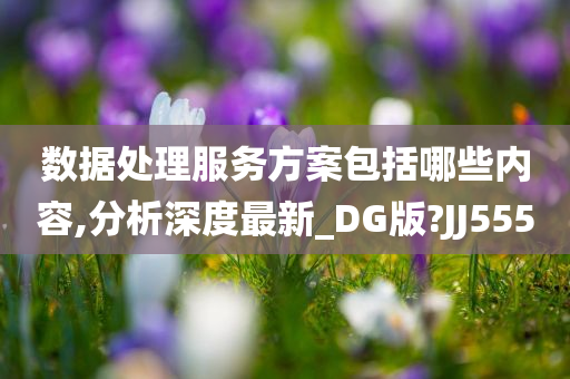 数据处理服务方案包括哪些内容,分析深度最新_DG版?JJ555