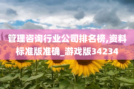 管理咨询行业公司排名榜,资料标准版准确_游戏版34234