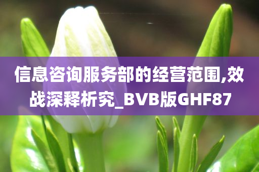 信息咨询服务部的经营范围,效战深释析究_BVB版GHF87