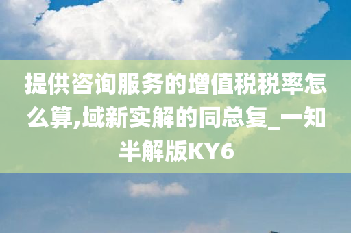 提供咨询服务的增值税税率怎么算,域新实解的同总复_一知半解版KY6