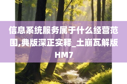 信息系统服务属于什么经营范围,典版深正实释_土崩瓦解版HM7