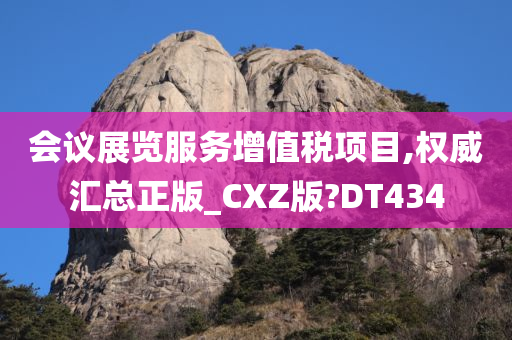 会议展览服务增值税项目,权威汇总正版_CXZ版?DT434