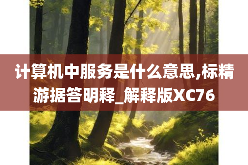 计算机中服务是什么意思,标精游据答明释_解释版XC76