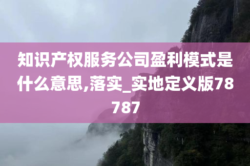 盈利模式 第3页