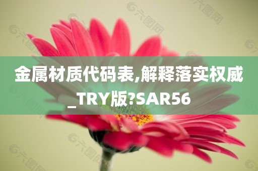 金属材质代码表,解释落实权威_TRY版?SAR56