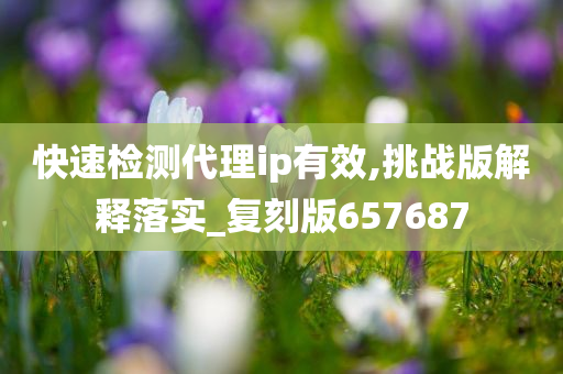 快速检测代理ip有效,挑战版解释落实_复刻版657687