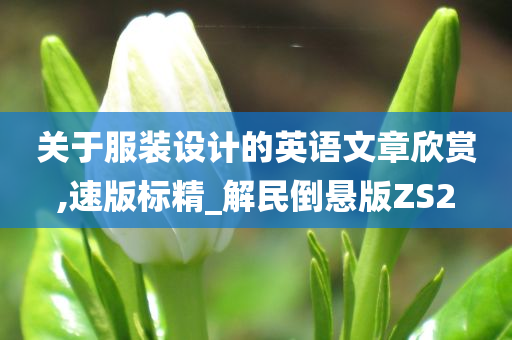 关于服装设计的英语文章欣赏,速版标精_解民倒悬版ZS2