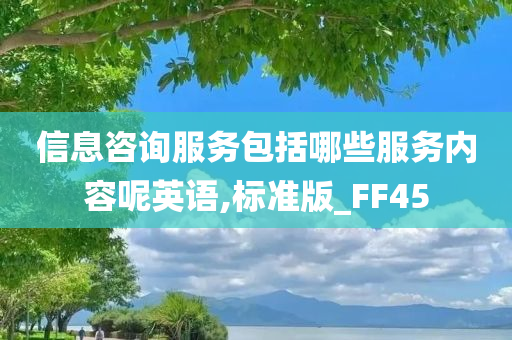 信息咨询服务包括哪些服务内容呢英语,标准版_FF45