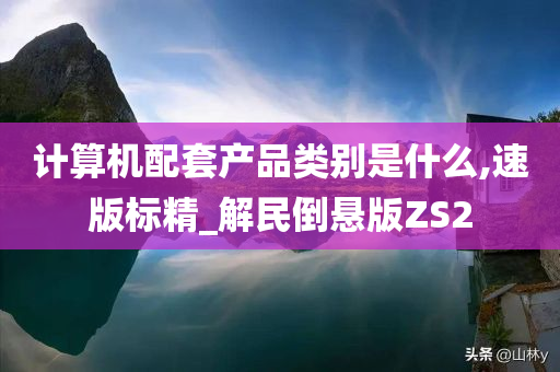 计算机配套产品类别是什么,速版标精_解民倒悬版ZS2