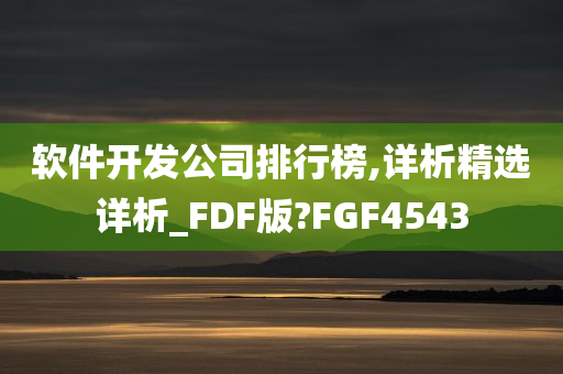 软件开发公司排行榜,详析精选详析_FDF版?FGF4543