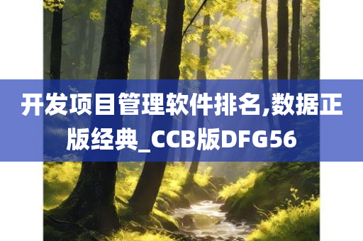 开发项目管理软件排名,数据正版经典_CCB版DFG56