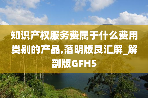 知识产权服务费属于什么费用类别的产品,落明版良汇解_解剖版GFH5