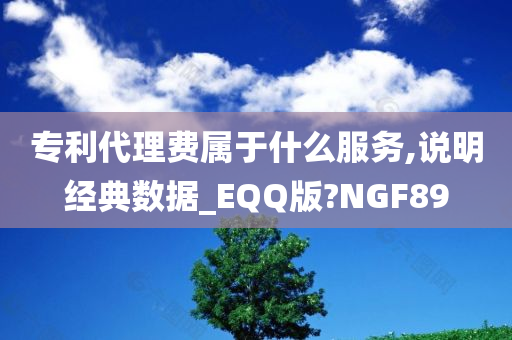 专利代理费属于什么服务,说明经典数据_EQQ版?NGF89