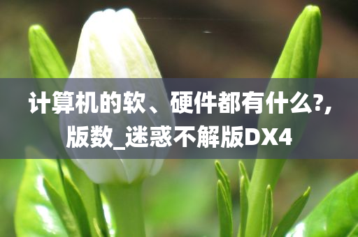 计算机的软、硬件都有什么?,版数_迷惑不解版DX4