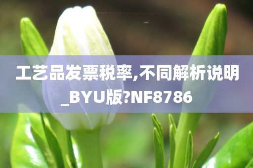 工艺品发票税率,不同解析说明_BYU版?NF8786