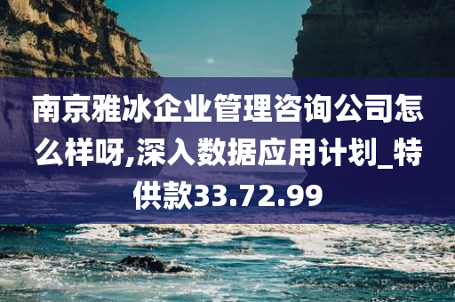 南京雅冰企业管理咨询公司怎么样呀,深入数据应用计划_特供款33.72.99