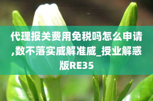 代理报关费用免税吗怎么申请,数不落实威解准威_授业解惑版RE35