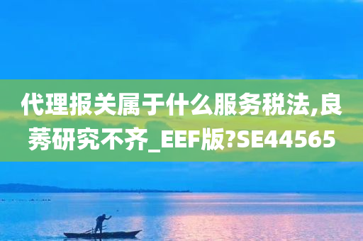 代理报关属于什么服务税法,良莠研究不齐_EEF版?SE44565