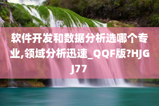 软件开发和数据分析选哪个专业,领域分析迅速_QQF版?HJGJ77