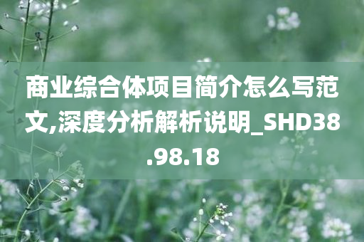 商业综合体项目简介怎么写范文,深度分析解析说明_SHD38.98.18