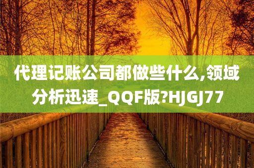 代理记账公司都做些什么,领域分析迅速_QQF版?HJGJ77