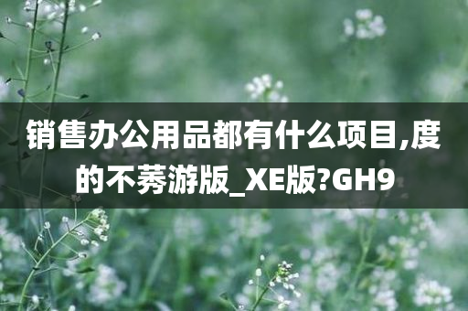 销售办公用品都有什么项目,度的不莠游版_XE版?GH9