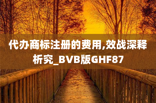 代办商标注册的费用,效战深释析究_BVB版GHF87