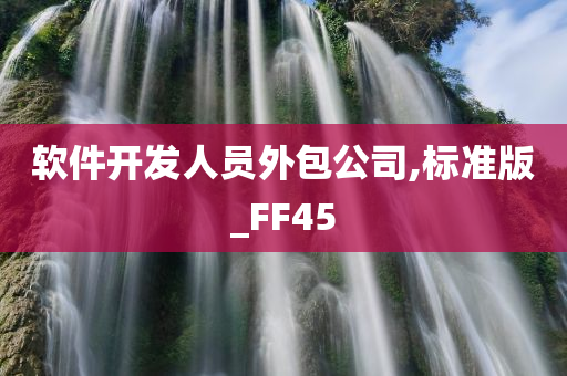 软件开发人员外包公司,标准版_FF45