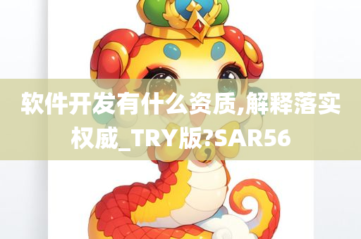 软件开发有什么资质,解释落实权威_TRY版?SAR56