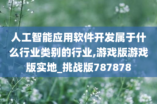 人工智能应用软件开发属于什么行业类别的行业,游戏版游戏版实地_挑战版787878