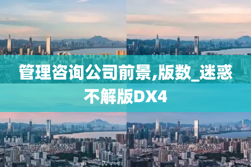 管理咨询公司前景,版数_迷惑不解版DX4