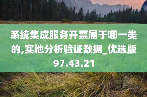 系统集成服务开票属于哪一类的,实地分析验证数据_优选版97.43.21