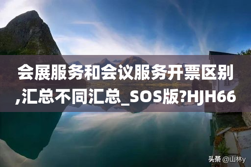 会展服务和会议服务开票区别,汇总不同汇总_SOS版?HJH66