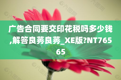 广告合同要交印花税吗多少钱,解答良莠良莠_XE版?NT76565