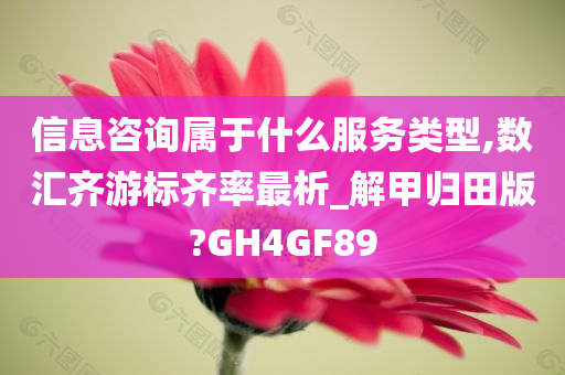 信息咨询属于什么服务类型,数汇齐游标齐率最析_解甲归田版?GH4GF89