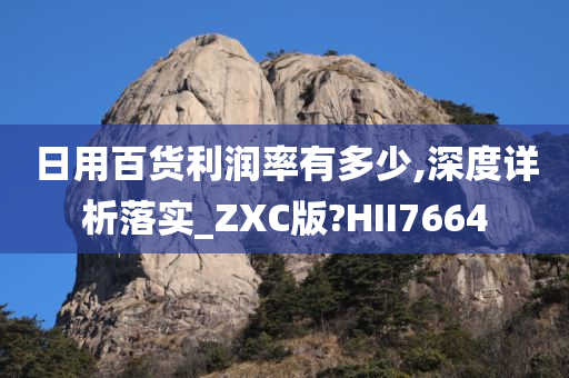 日用百货利润率有多少,深度详析落实_ZXC版?HII7664