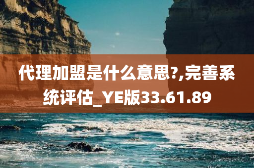 代理加盟是什么意思?,完善系统评估_YE版33.61.89