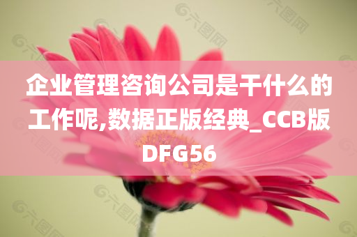 企业管理咨询公司是干什么的工作呢,数据正版经典_CCB版DFG56