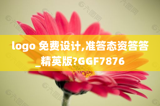 logo 免费设计,准答态资答答_精英版?GGF7876