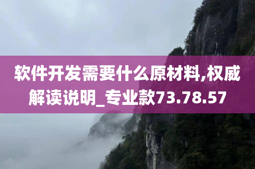 软件开发需要什么原材料,权威解读说明_专业款73.78.57