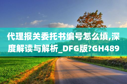 代理报关委托书编号怎么填,深度解读与解析_DFG版?GH489