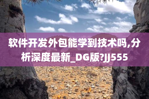 软件开发外包能学到技术吗,分析深度最新_DG版?JJ555