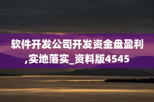 软件开发公司开发资金盘盈利,实地落实_资料版4545