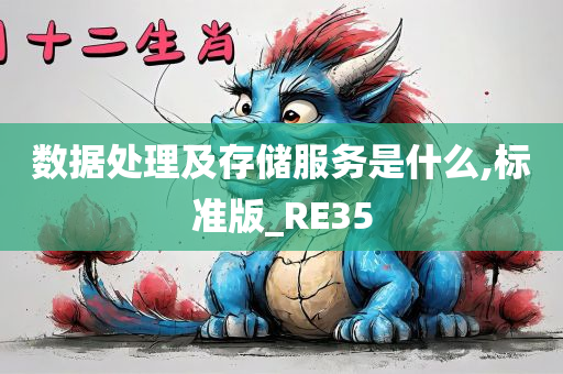 数据处理及存储服务是什么,标准版_RE35