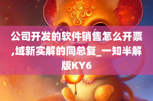 公司开发的软件销售怎么开票,域新实解的同总复_一知半解版KY6