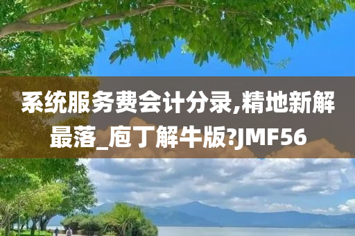 系统服务费会计分录,精地新解最落_庖丁解牛版?JMF56