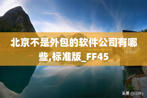 北京不是外包的软件公司有哪些,标准版_FF45